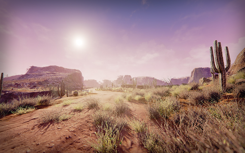 semi-arid-desert-environment-unimersiv