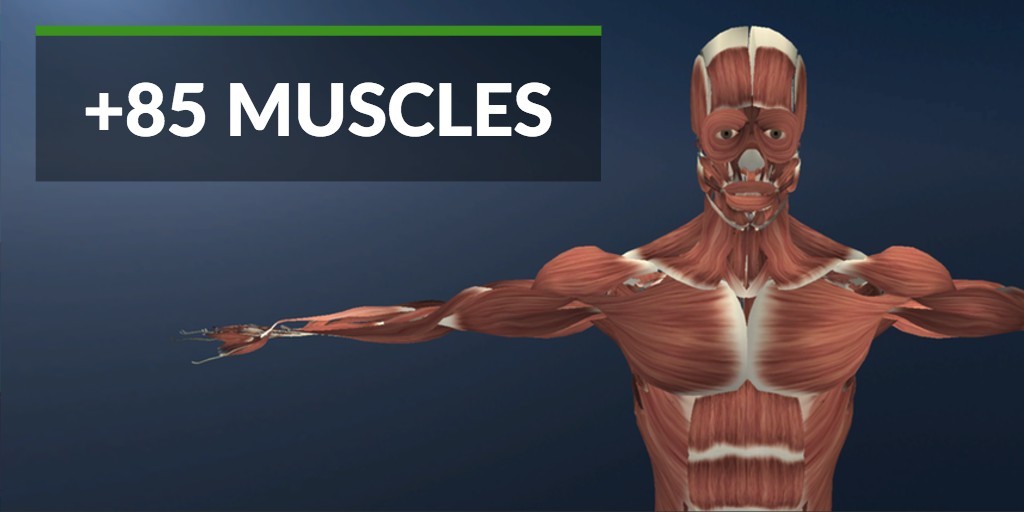 muscles-gear-vr